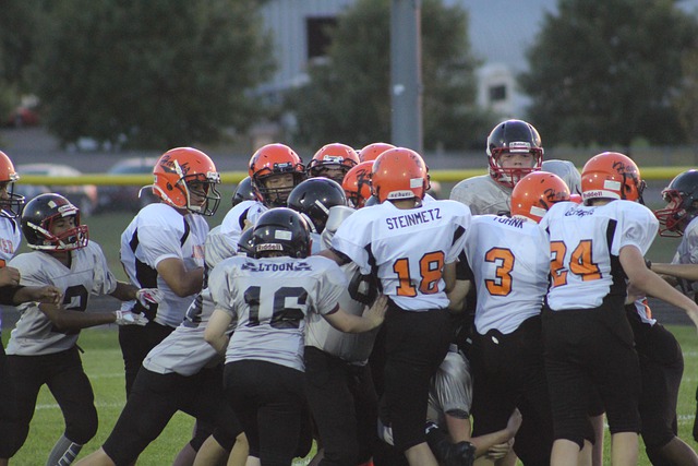 技能的提高 技能的提高